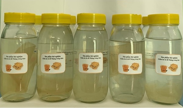 Phát triển quy trình sản xuất giấm từ phụ phẩm nuôi trồng nhộng trùng thảo (Cordyceps militaris)